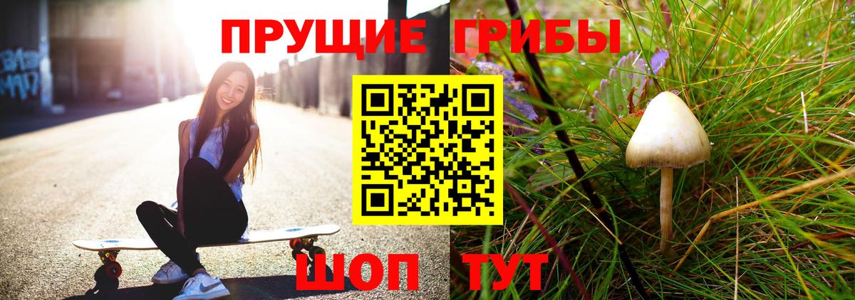 сколько стоит  Галлюциногенные грибы прущие грибы  Вход с VPN  Горно-Алтайск 